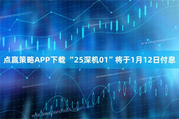 点赢策略APP下载 “25深机01”将于1月12日付息