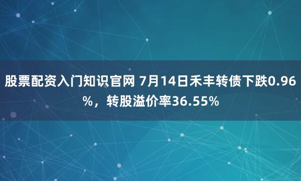 股票配资入门知识官网 7月14日禾丰转债下跌0.96%，转股溢价率36.55%